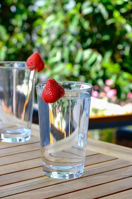Adele 17 oz Plastic Tumbler - Clear