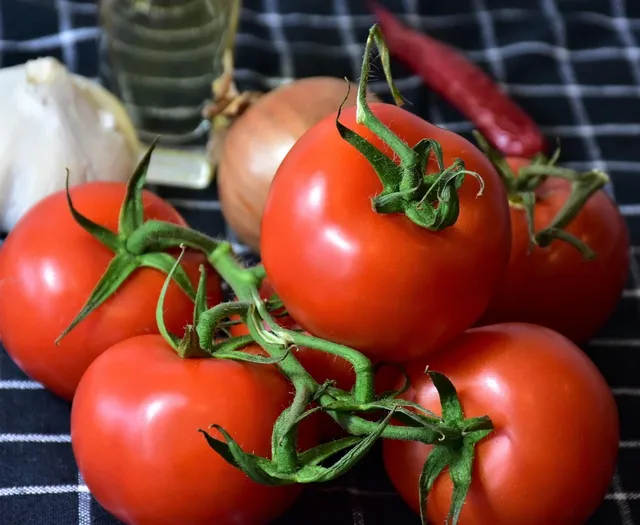 500 Vegan Dishes