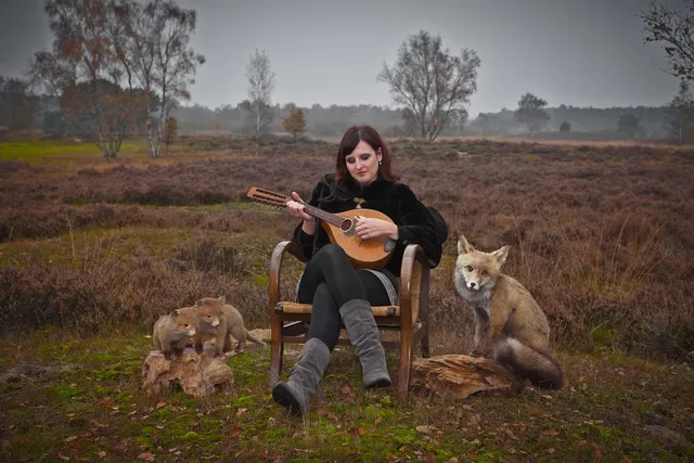 Borner VPower Mandolin Orange