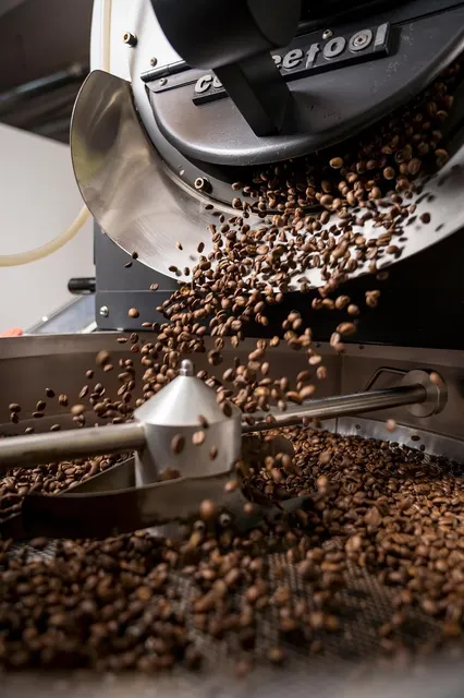 Cuisinox® Cappuccino Frother
