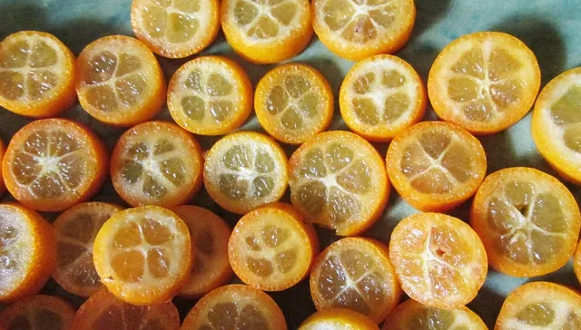 Full Apron Basic Kumquat