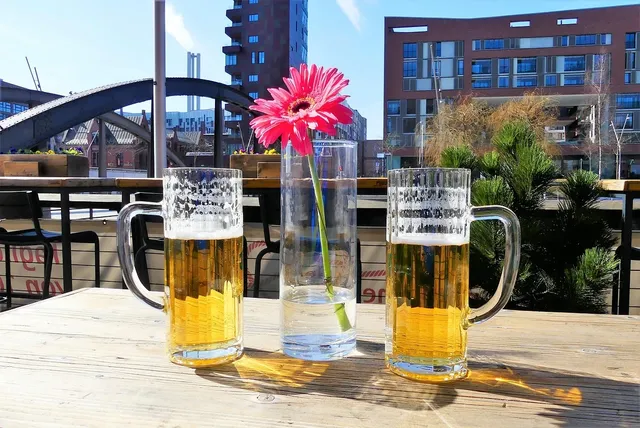Adele 16 oz Plastic Pilsner - Clear