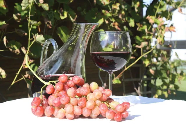 VINTURI RED WINE AERATOR
