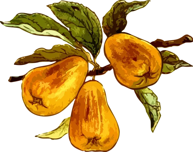Pantry Works Ellipse Fruit Tree, Chrome