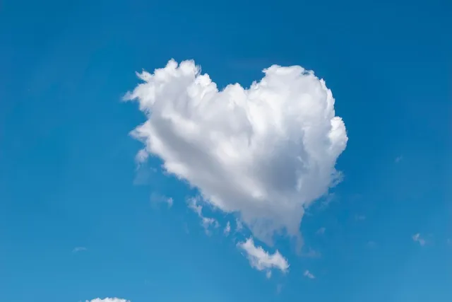 Spoon Rest Double Heart Shape