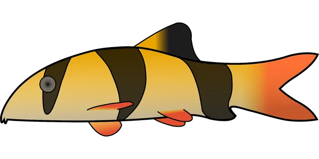 Pisces