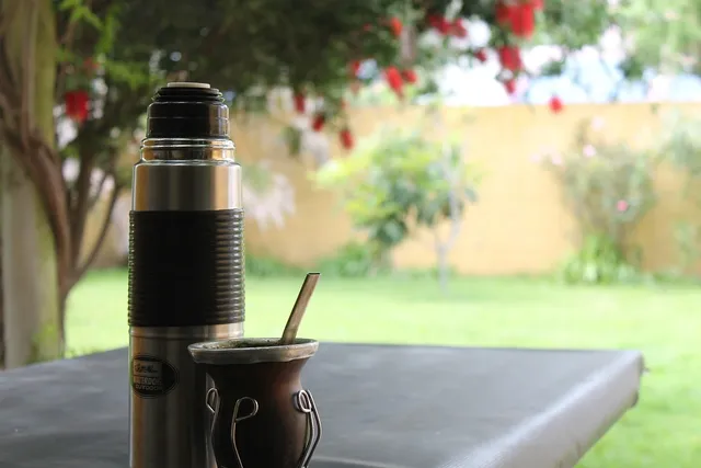 Green's Your Colour 500ml Bottle insulated bottle with a multi-purpose tea strainer Silver