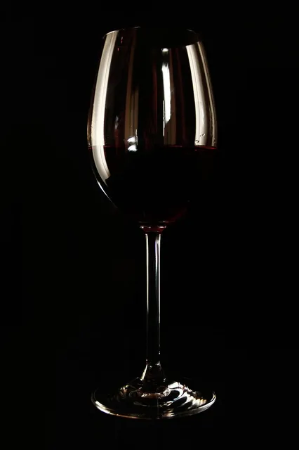 Wine Stoppers - Black