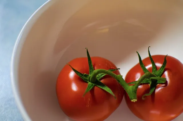 24 CM Individual Pasta Bowl Tomato