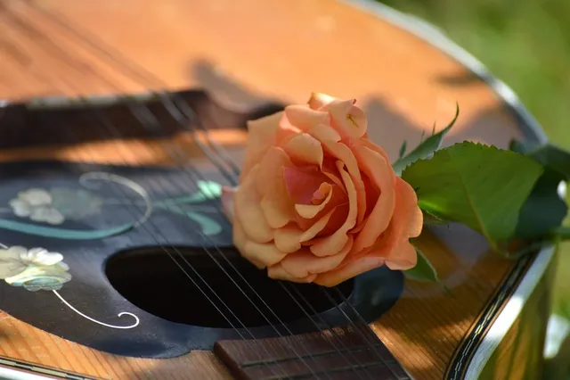 Benriner compact mandolin