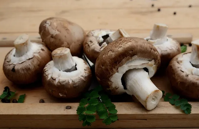 EGG/MUSHROOM SLICER