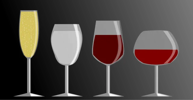 Riedel Key to wine/5