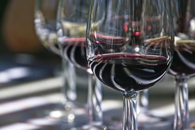 Wine essentials Tasting Glass