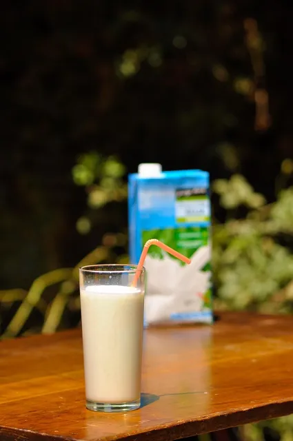Stainless Steel 1 ltr Milk carton holder