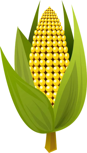 Corn creamer/cutter
