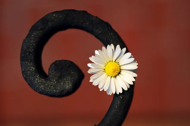 Cast Iron Rope Shaped Bottle Opener