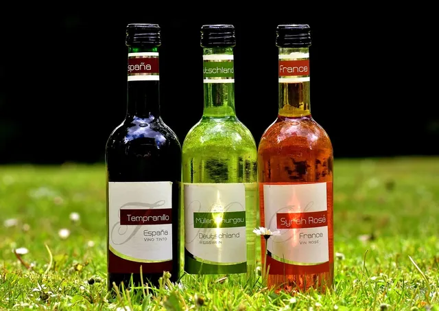 Renaissance Bordeaux