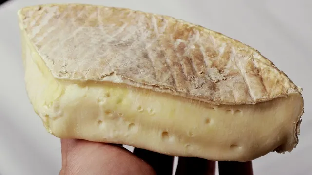 Swivel Raclette