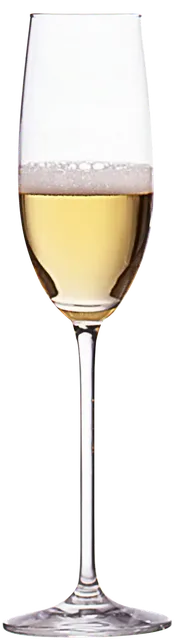 XL Champagne Glass holds 4 regular glasses of champagne!