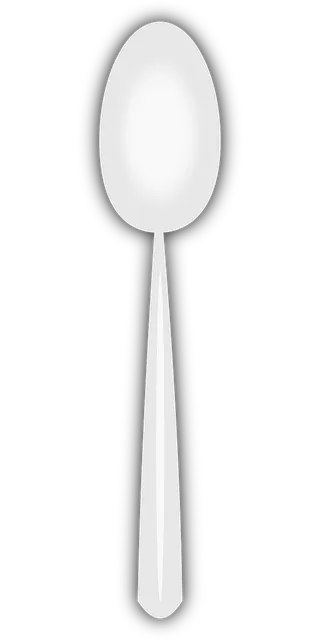 Stainless Steel Piano Whisk 10"