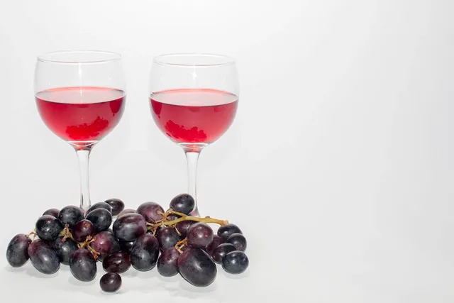 Trudeau Stemless Wine set of 2