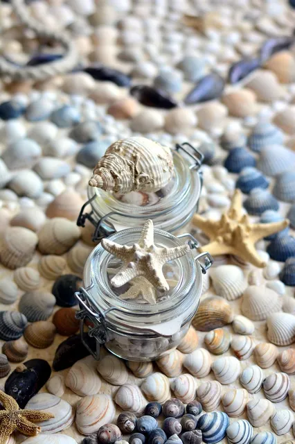 Mason Jar Shot Glasses