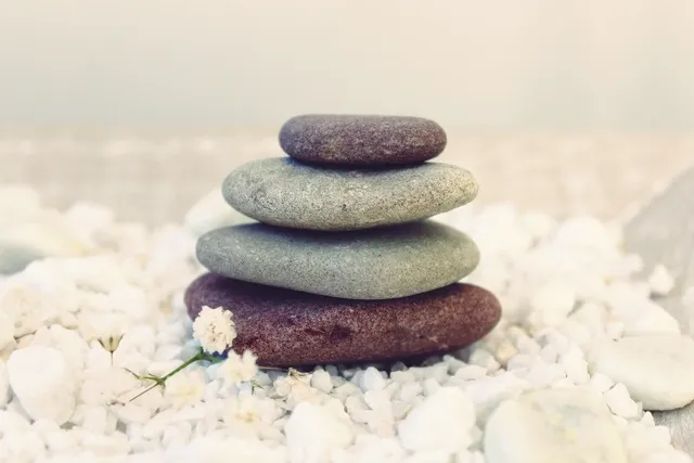 2 tier bowl stacked set