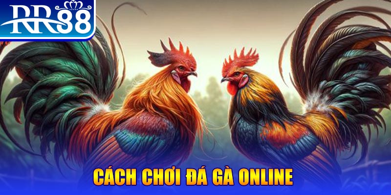 cach-choi-da-ga-online-