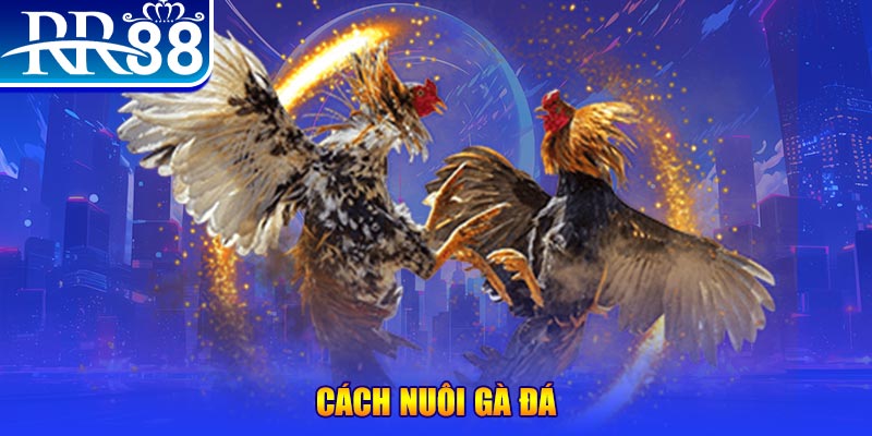 cach-nuoi-ga-da